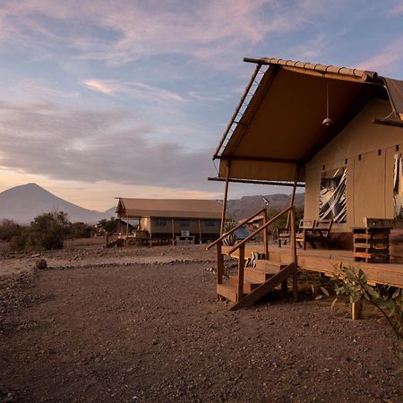 Africa Safari Lake Natron Mtowabaga Eksteriør billede