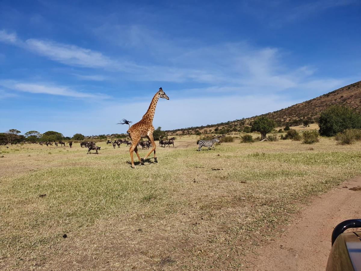 Africa Safari Lake Natron Mtowabaga Eksteriør billede