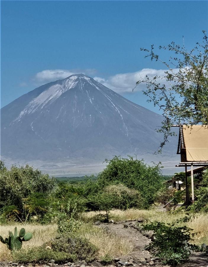 Africa Safari Lake Natron Mtowabaga Eksteriør billede