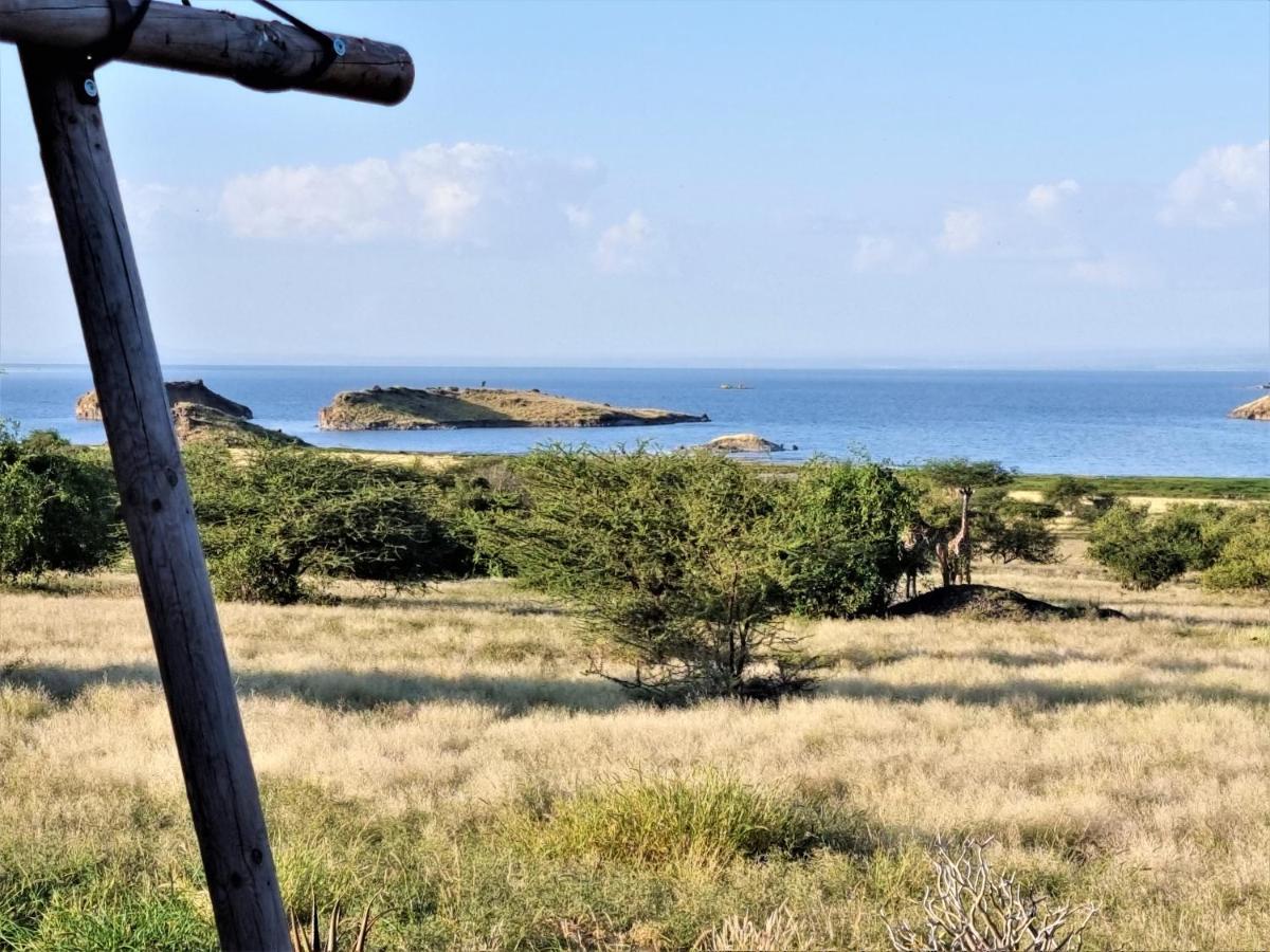 Africa Safari Lake Natron Mtowabaga Eksteriør billede
